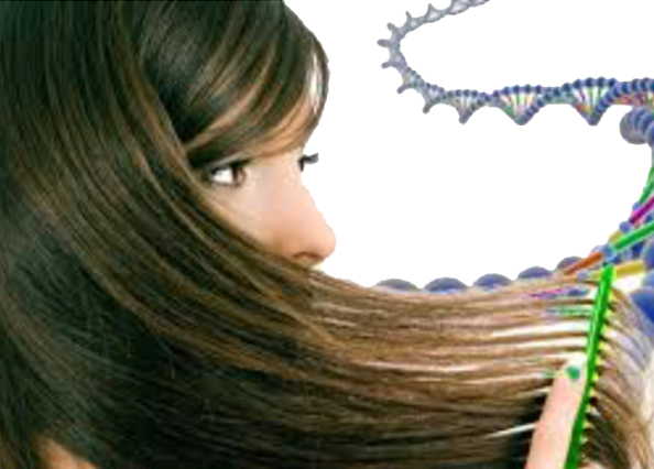 HTMA (Hair Tissue Mineral Analysis)w/ Interpretation and Consultation